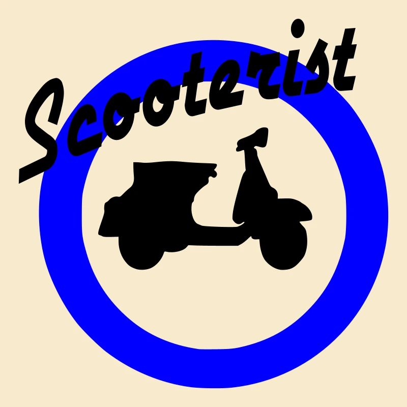 Motorroller Roller Blechroller Schaltroller