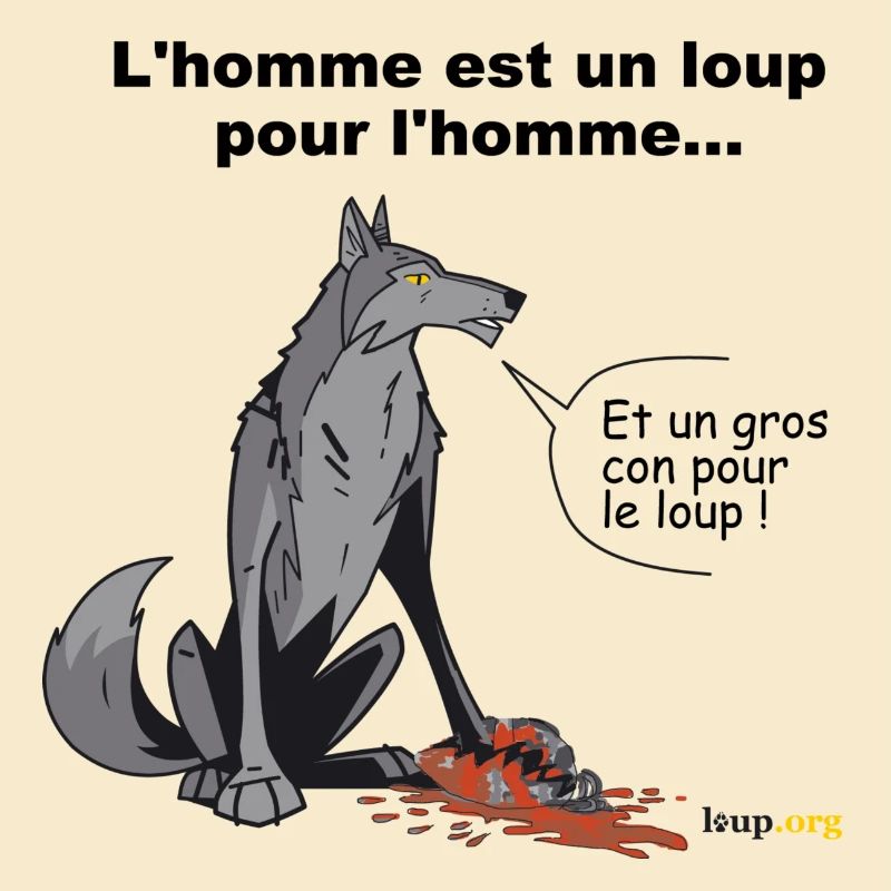 wolfman