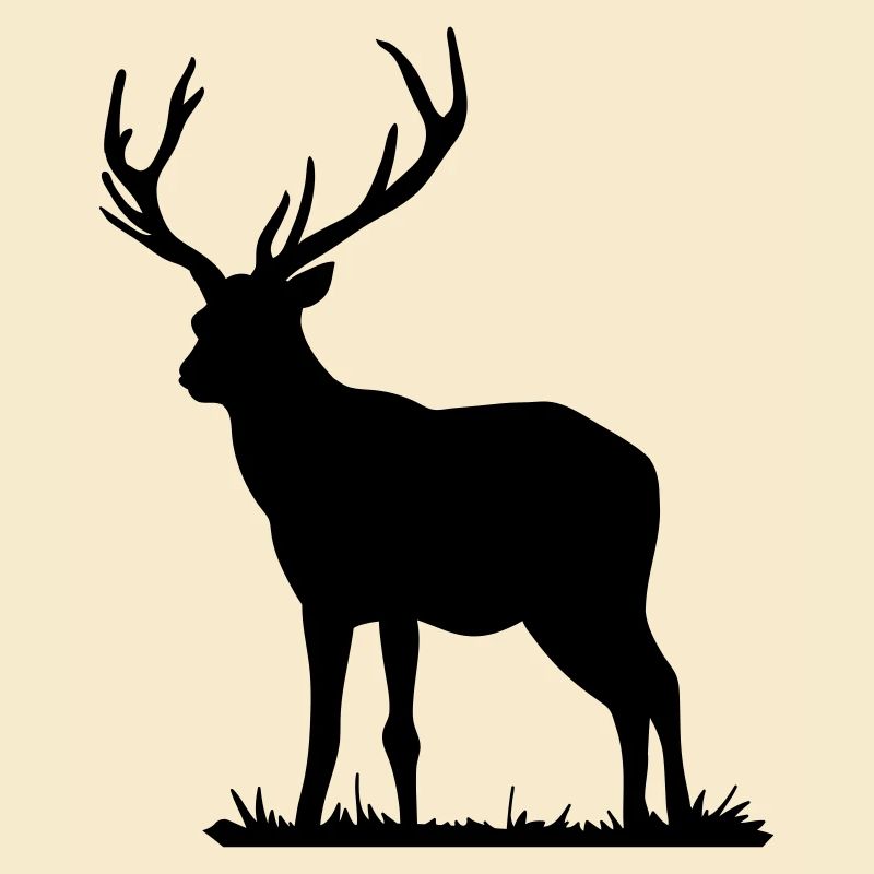 Hirsch