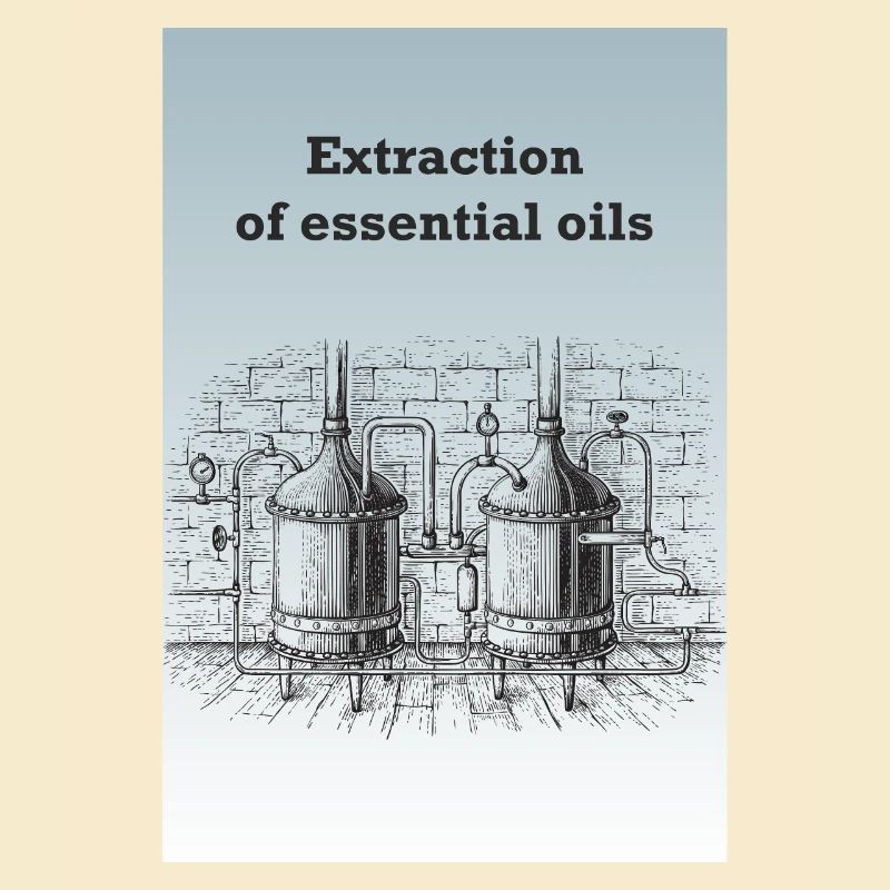 Extraktion von ätherischen Ölen