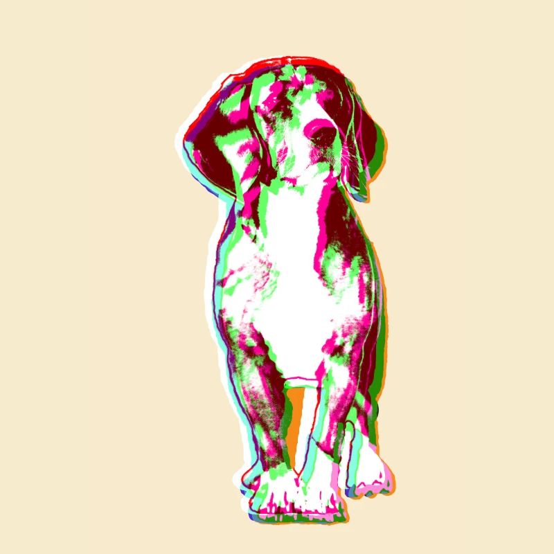 Beagle