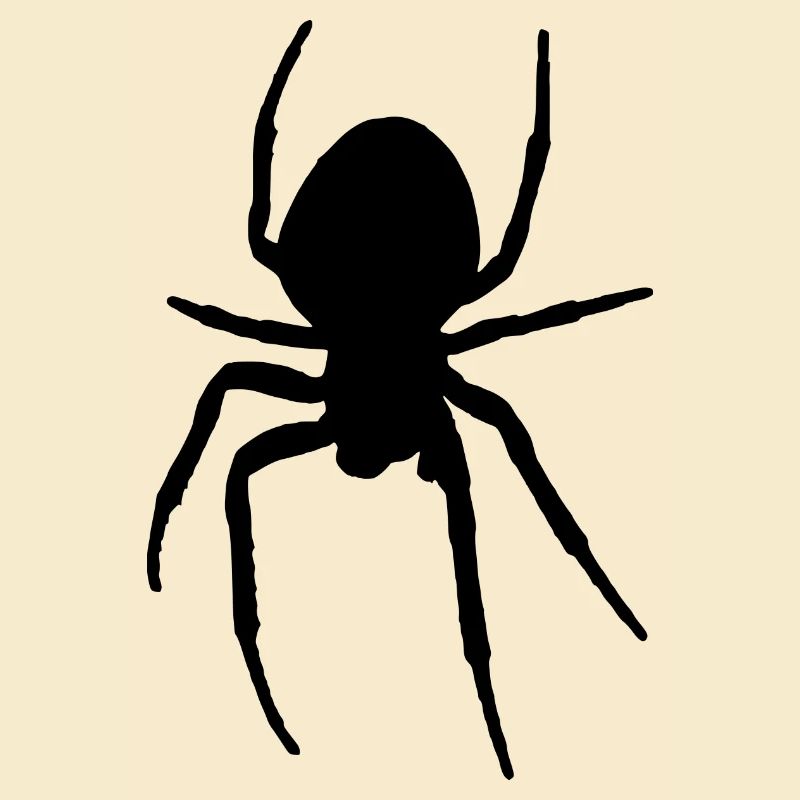 spid 2