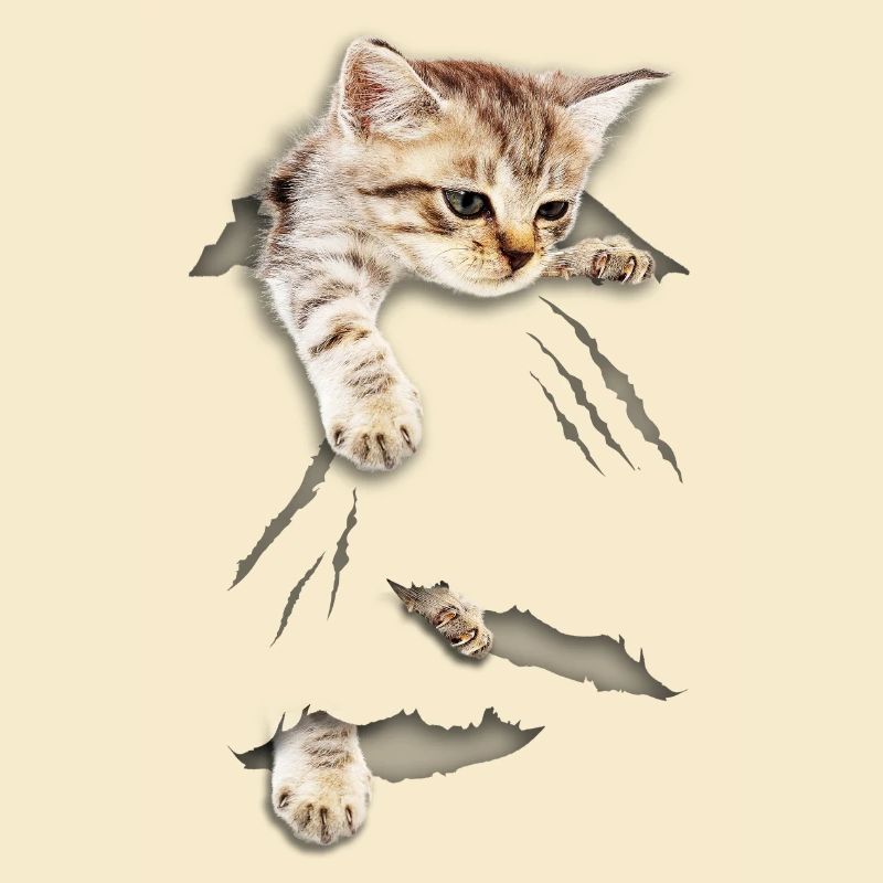 cat tear