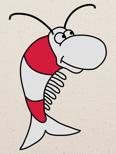 Shrimp