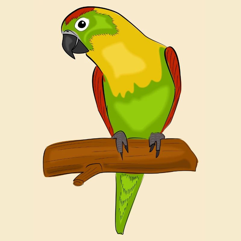 Papagei Vogel Exotisch Bunt