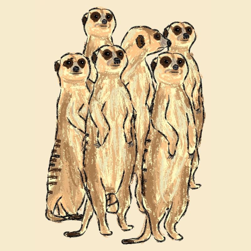 Erdmännchen / Meerkat Design