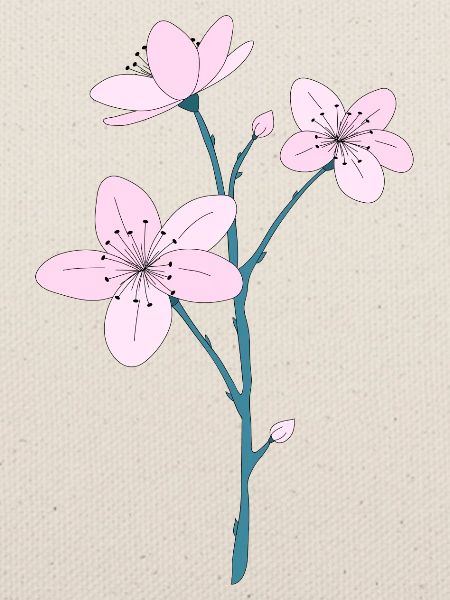 Kirschblüten