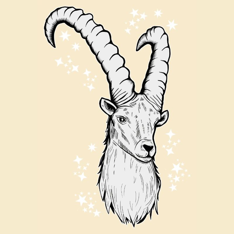 Steinbock Sternzeichen Astrologie