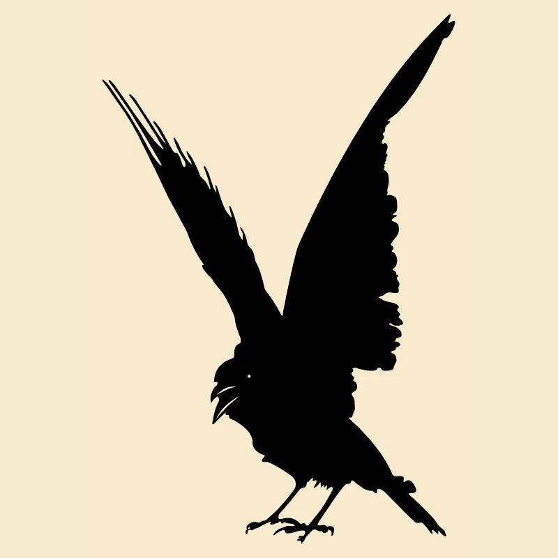 Schwarze Vogelkrähe oder Rabenschattenfigur