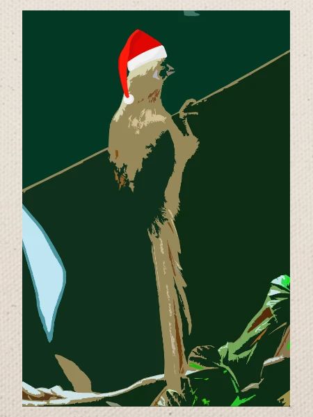 Weihnachten Colious