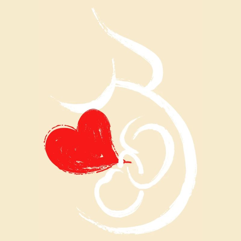 Grossesse Bébé Coeur Bébé Ventre Grossesse