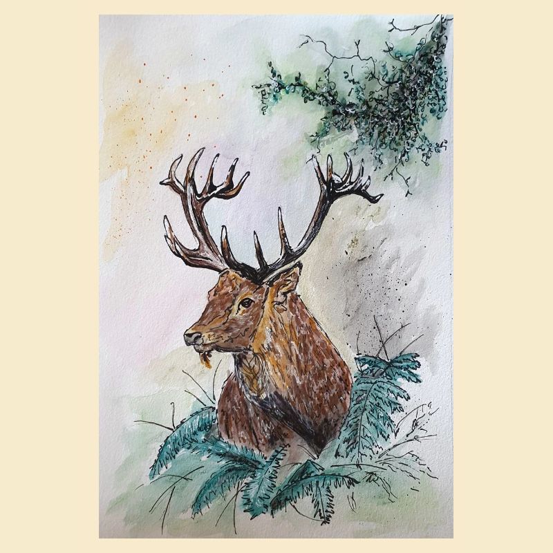 Hirsch Deer