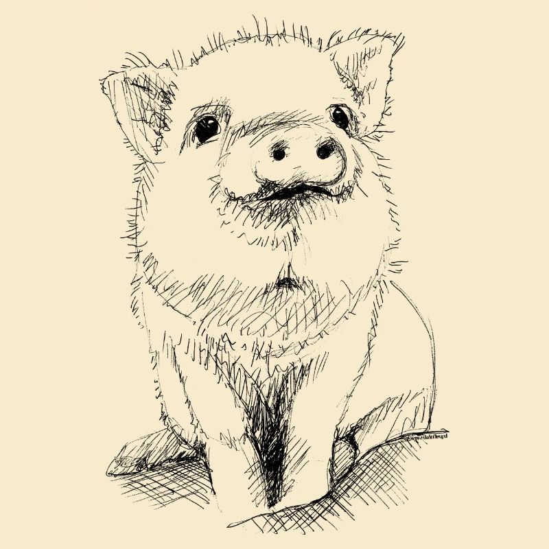 Ferkel