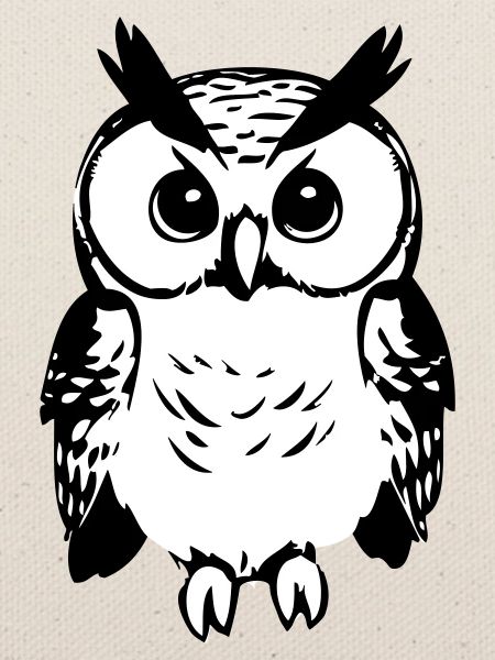 Cute owl