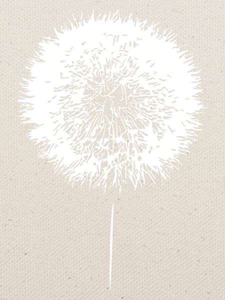 Löwenzahn Pusteblume Dandelion Samen