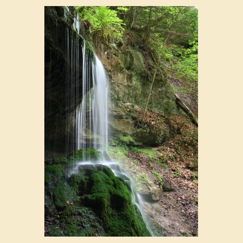 MOOSWASSERFALL HÖRSCHBACH BEI MURRHARDT