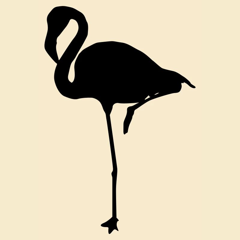 flamingos