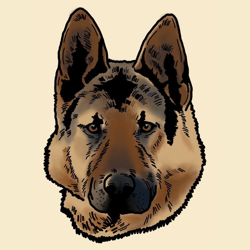 Deutscher Schäferhund