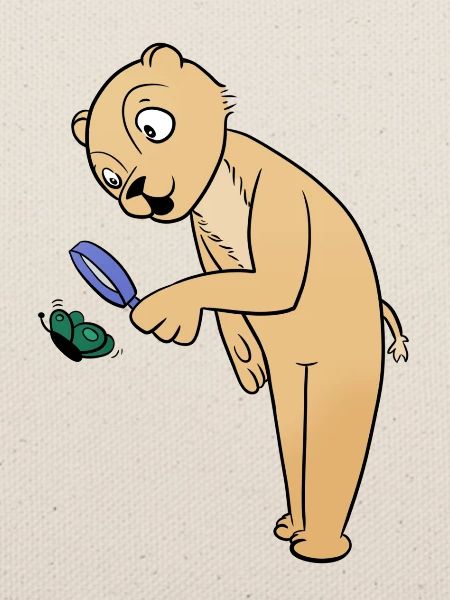Lupe