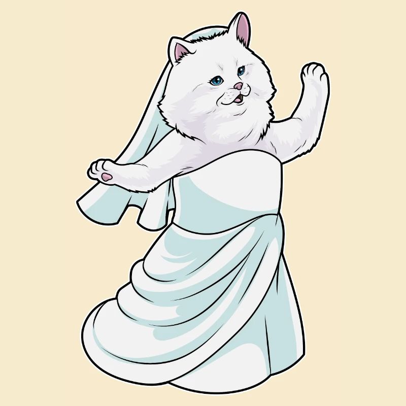 Chat persan robe de mariée