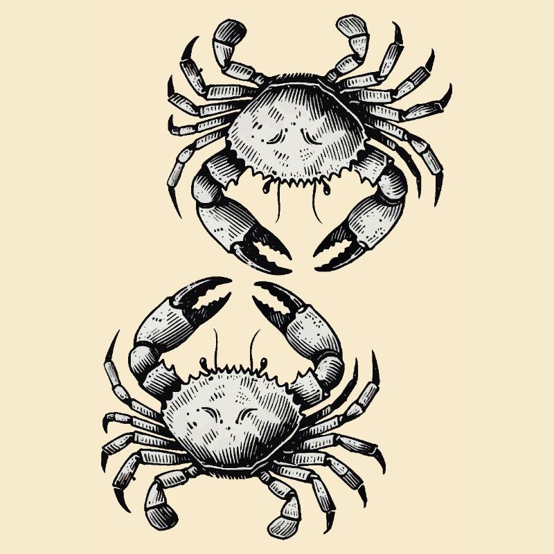 Crab Crab