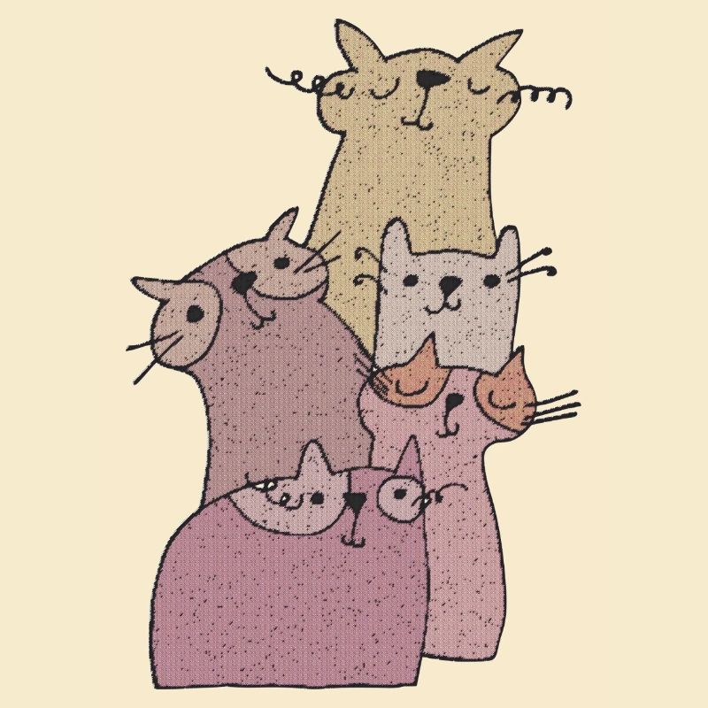 À la rencontre de Cats 2