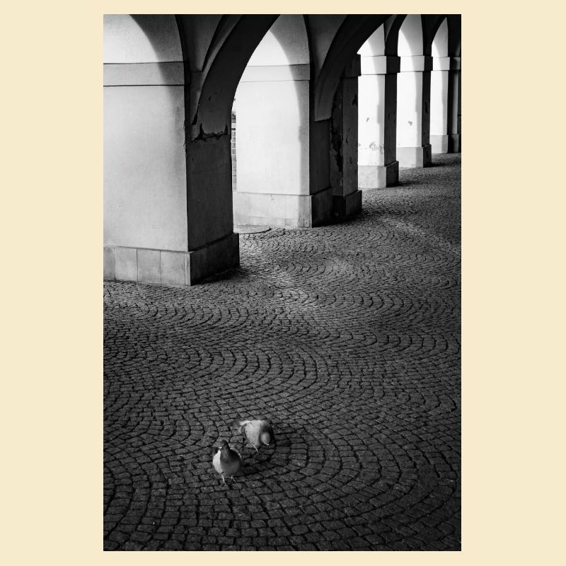 Schatten der Bögen und Tauben