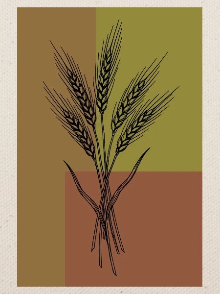 Weizen Ähren Line Art – Botanisches Design