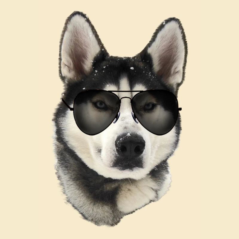 Husky Sonnenbrille Stil