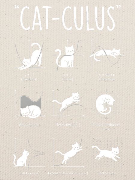 Cat-Culus : Le Guide Drôle Chat Mathématique
