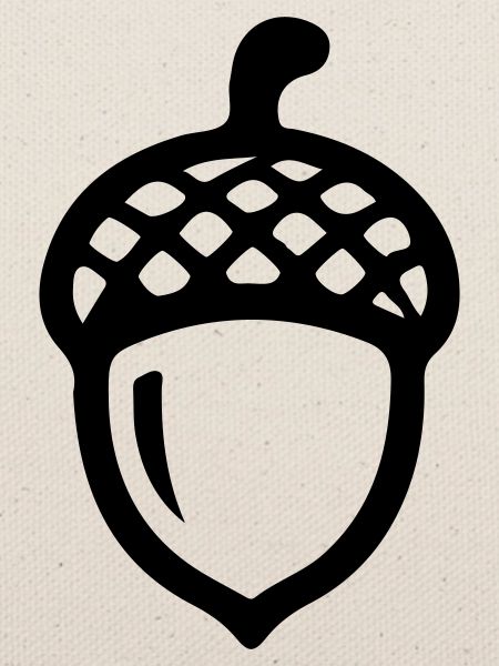 Eichel Symbol