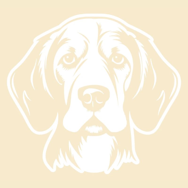 Beagle Hund Kopf