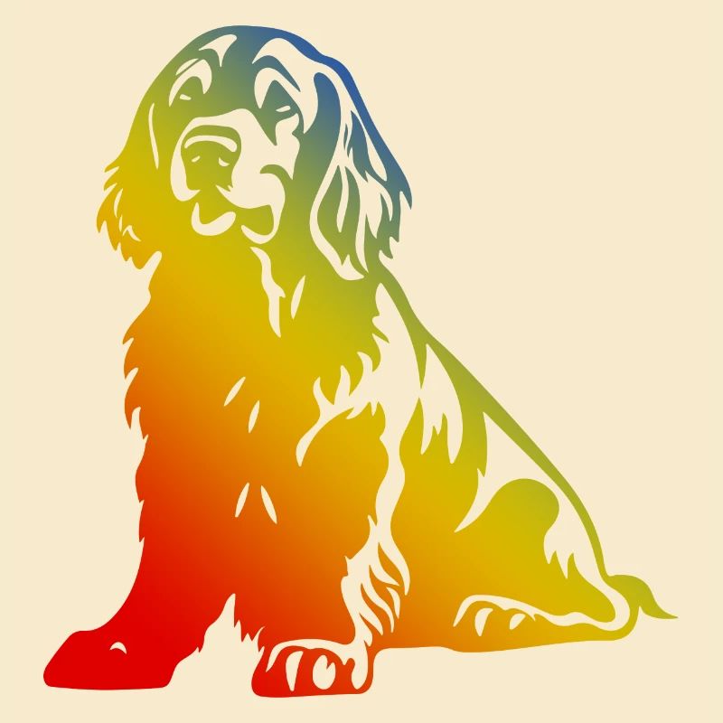 Cocker Spaniel Chien Multicolore