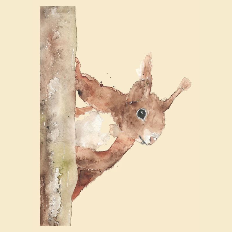 Eichhörnchen