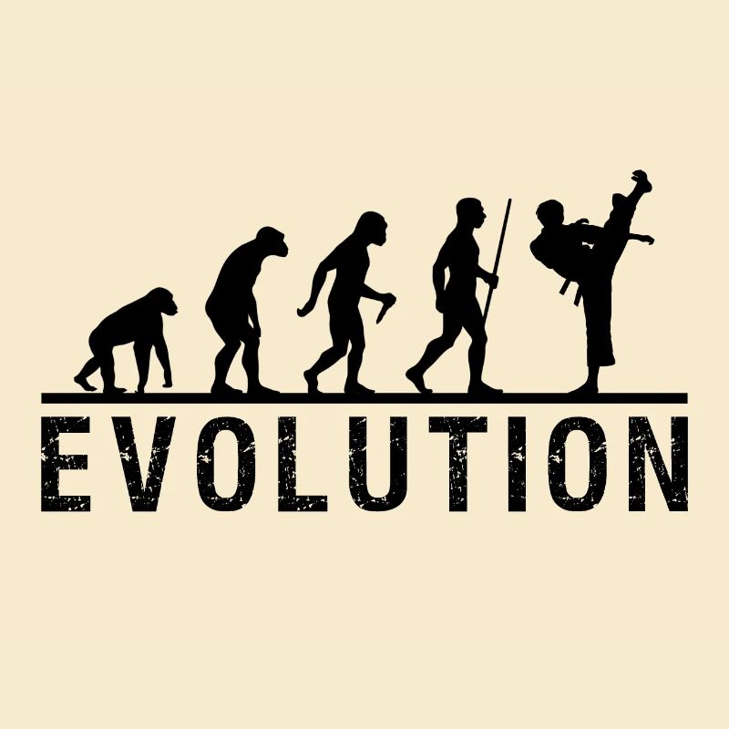 Taekwondo Evolution Chain