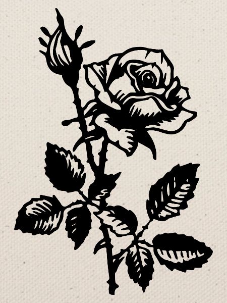 Rose Blume