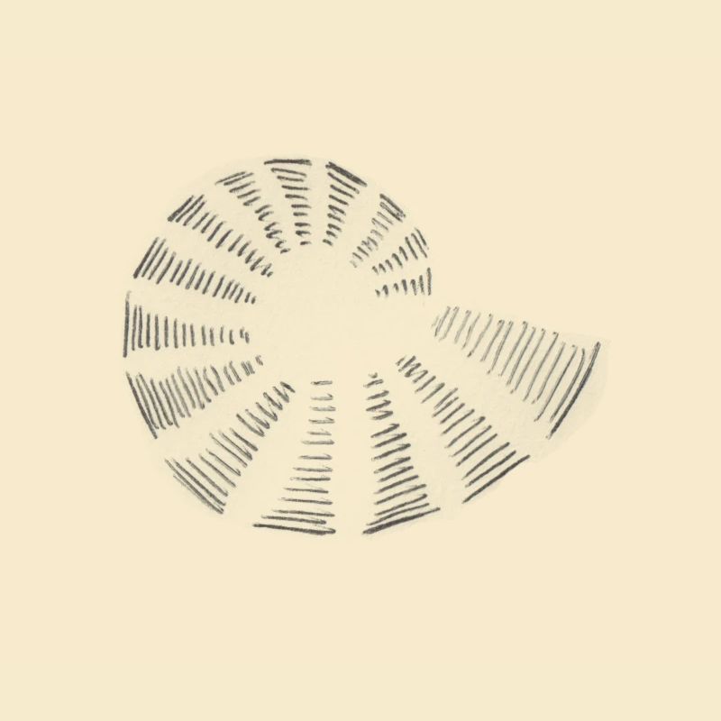 Spirale