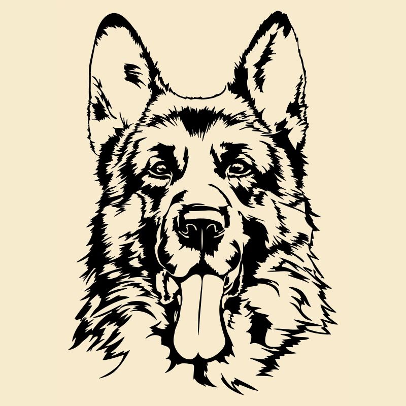 BERGER ALLEMAND - GERMAN SHEPHERD Wilsigns