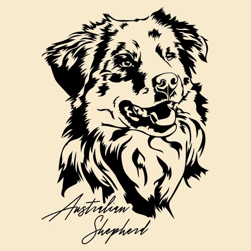Australian Shepherd Aussie Portrait Hunde Wilsigns