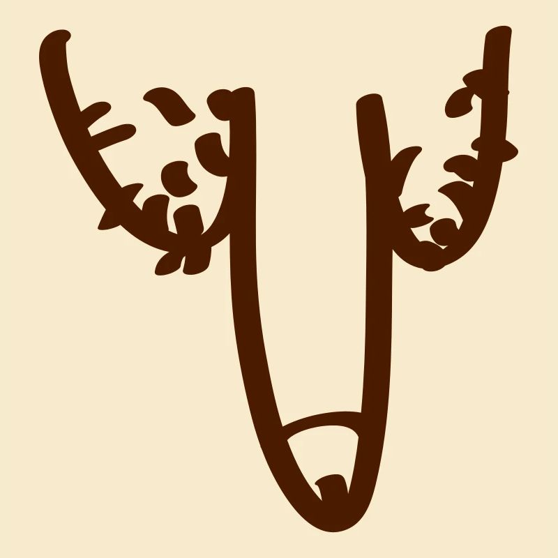 penis