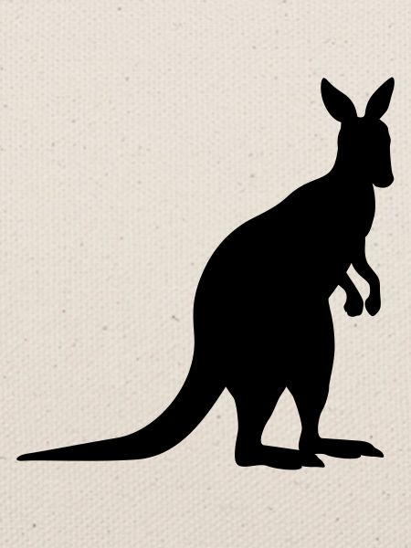 kangaroo animal