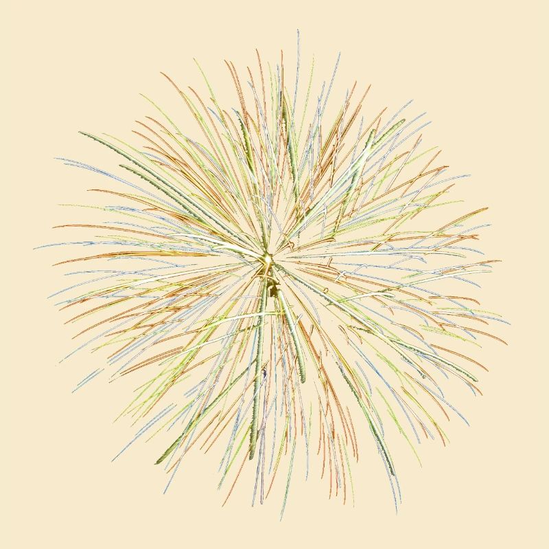 Feu d’artifice - Fireworks (multicolor)