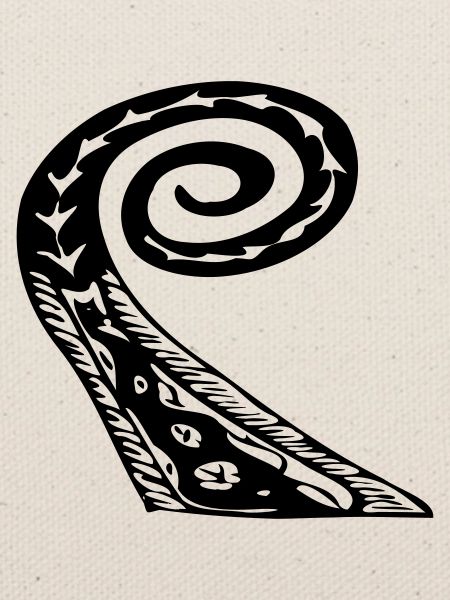Drakkar viking ship