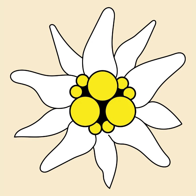 Edelweiss