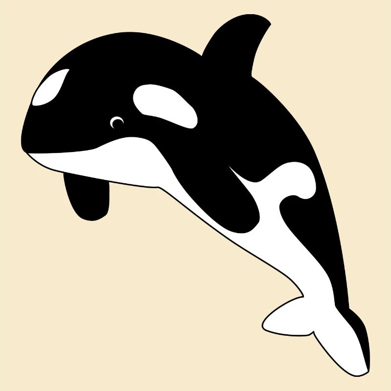 Orca / Schwertwal