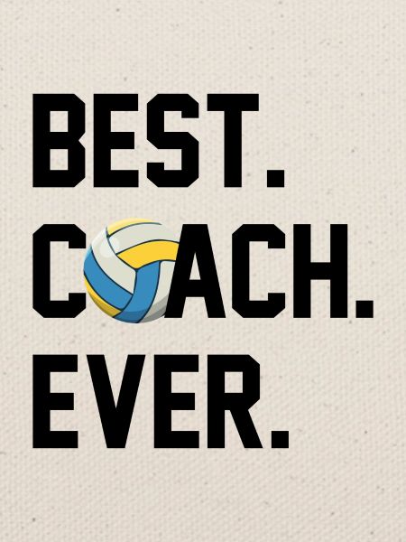 BESTER TRAINER VOLLEYBALL
