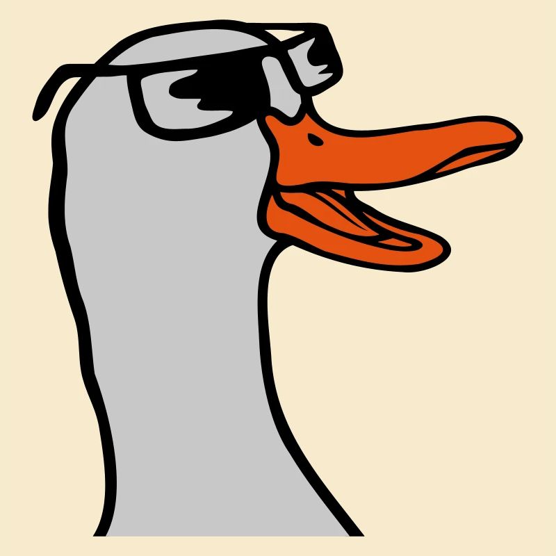 Face Sunglasses Goose Comic