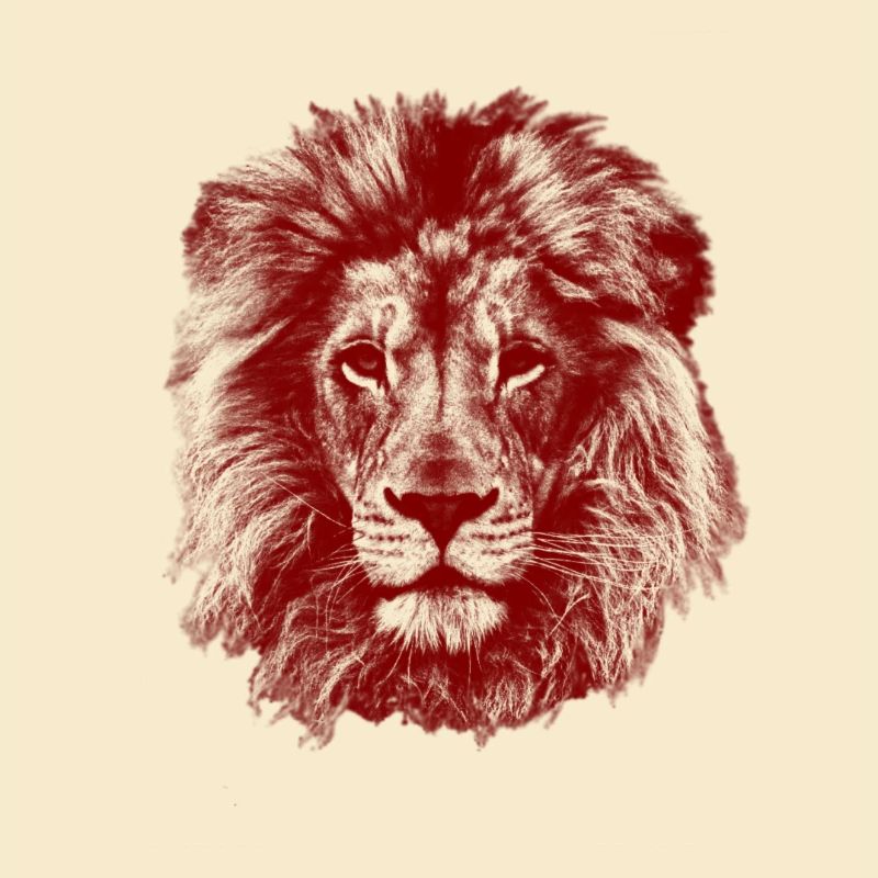 Löwe Rot