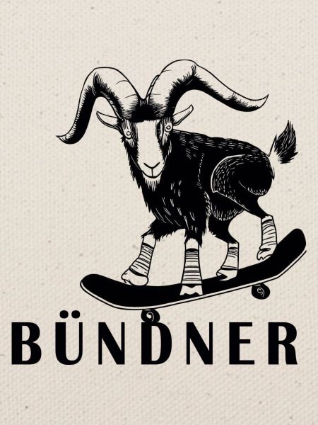 Bündner Steinbock Graubünden Grischa Grischun