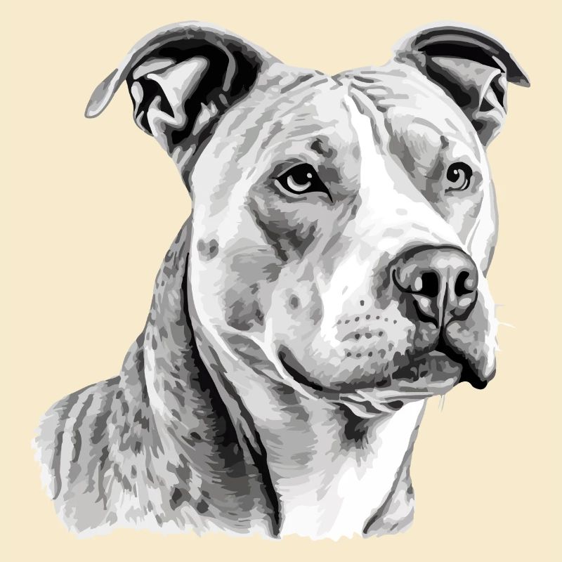 Jack der Pitbull